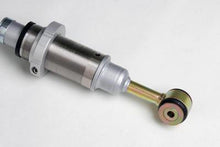 Cargar imagen en el visor de la galería, Photo - Primary