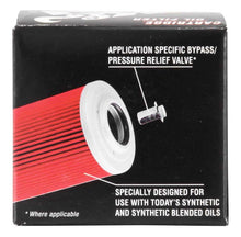 Cargar imagen en el visor de la galería, K&amp;N Oil Filter - Powersports