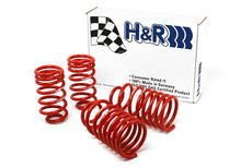 Cargar imagen en el visor de la galería, H&amp;R 96-98 Volkswagen Golf/Jetta 8V MK3 Race Spring (After 7/1/96)