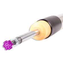 Cargar imagen en el visor de la galería, User 6