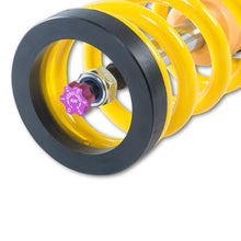 Cargar imagen en el visor de la galería, User 6