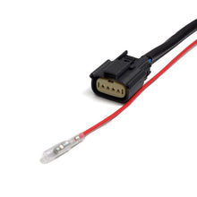 Cargar imagen en el visor de la galería, User 1