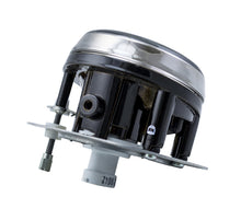 Load image into Gallery viewer, Photo - Close Up