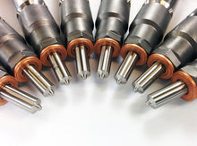 Cargar imagen en el visor de la galería, User 1