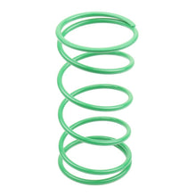 Load image into Gallery viewer, Athena BSV DIO GP 50 25Kg Green Contrast Spring (Bore 50mm)