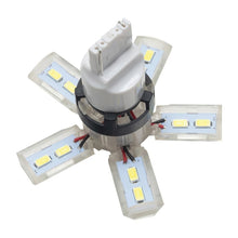 Cargar imagen en el visor de la galería, Oracle 7440 24 SMD 3 Chip Spider Bulb (Single) - Cool White
