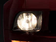 Cargar imagen en el visor de la galería, Photo - Primary