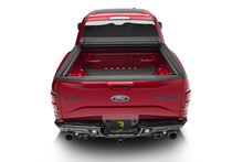 Load image into Gallery viewer, Photo - Mounted