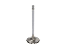 Cargar imagen en el visor de la galería, User 2