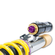 Cargar imagen en el visor de la galería, User 5