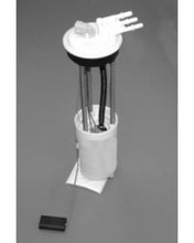 Cargar imagen en el visor de la galería, User 1