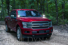 Cargar imagen en el visor de la galería, Diode Dynamics 15-20 Ford F-150/Raptor Pro SS3 LED Ditch Light Kit - White Combo
