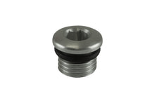 Load image into Gallery viewer, Turbosmart -4AN ORB Blank - Clear