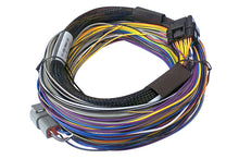 Cargar imagen en el visor de la galería, Photo - Primary