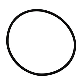 Wehrli LBZ/LMM/LML Duramax Y-Bridge Flange O-Ring Seal (single)