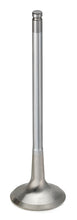 Cargar imagen en el visor de la galería, Supertech Audi/VW 1.8T 5V Inconel Exhaust Valve - Single (Drop Ship Only)