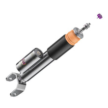 Cargar imagen en el visor de la galería, User 5