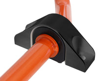 Load image into Gallery viewer, Photo - Close Up