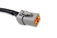 Cargar imagen en el visor de la galería, DV8 Offroad 40 AMP DTP 4-Pin Halo Light Harness