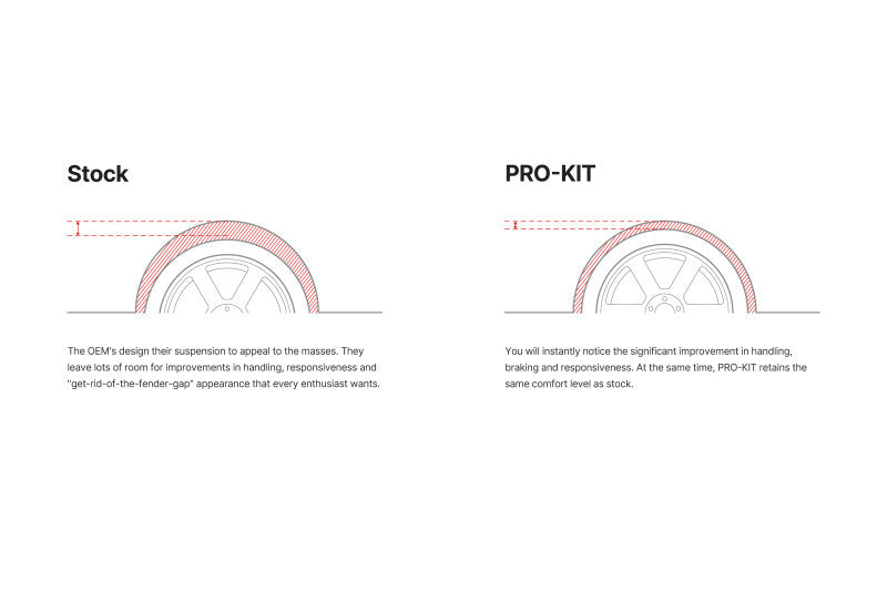Eibach 2026 Tesla Model Y RWD Juniper Pro-Kit