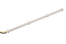 Cargar imagen en el visor de la galería, Diode Dynamics LED Strip Lights High Density SF - Red 12 In