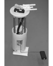 Cargar imagen en el visor de la galería, User 1