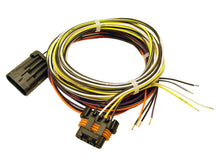 Load image into Gallery viewer, FAST Harness FAST VSS and Auxiliary Shaft Wiring Harness