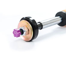 Load image into Gallery viewer, Photo - Primary