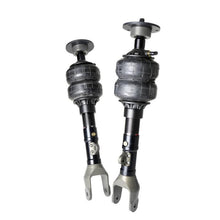 Cargar imagen en el visor de la galería, User 1