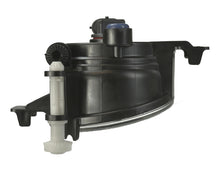 Load image into Gallery viewer, Photo - Close Up