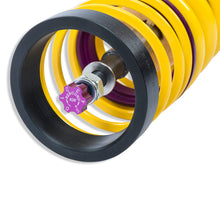 Cargar imagen en el visor de la galería, User 4