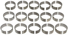 Cargar imagen en el visor de la galería, User 1