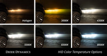 Cargar imagen en el visor de la galería, User 2