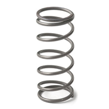 Cargar imagen en el visor de la galería, GFB EX50 9psi Wastegate Spring (Middle)