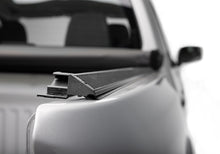 Load image into Gallery viewer, Photo - Close Up