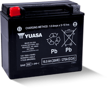 Cargar imagen en el visor de la galería, Yuasa YTX20 Maintenance Free AGM 12-Volt Battery