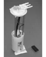 Cargar imagen en el visor de la galería, User 1