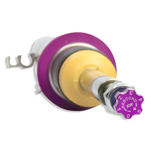 Cargar imagen en el visor de la galería, User 5