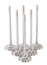 Cargar imagen en el visor de la galería, GSC P-D Toyota G16E-GTS 32.8mm Head (STD) Chrome Polished Intake Valves - Set of 6