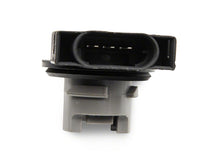 Load image into Gallery viewer, Photo - Close Up