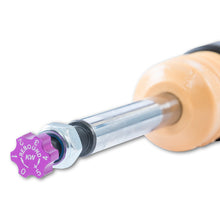 Cargar imagen en el visor de la galería, User 6