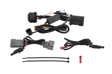 Cargar imagen en el visor de la galería, Diode Dynamics C1R Hitch Mount Harness for F-150 15-20