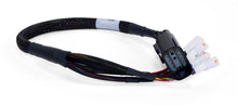 Cargar imagen en el visor de la galería, User 1