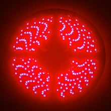 Cargar imagen en el visor de la galería, Oracle Side Emitting LED Spool - Red