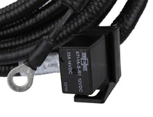 Load image into Gallery viewer, Photo - Unmounted