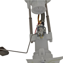 Load image into Gallery viewer, Photo - Unmounted