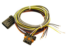 Load image into Gallery viewer, FAST Harness FAST VSS and Auxiliary Shaft Wiring Harness