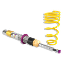 Cargar imagen en el visor de la galería, User 3