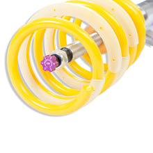 Cargar imagen en el visor de la galería, User 4