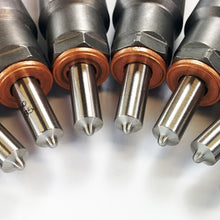 Cargar imagen en el visor de la galería, User 1